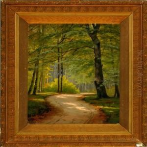 A Road Through A Wood At Springtime