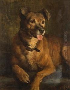 Portrait Of A Terrier by George Percy Jacomb-Hood