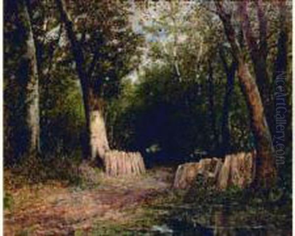 Sous-bois - view 1