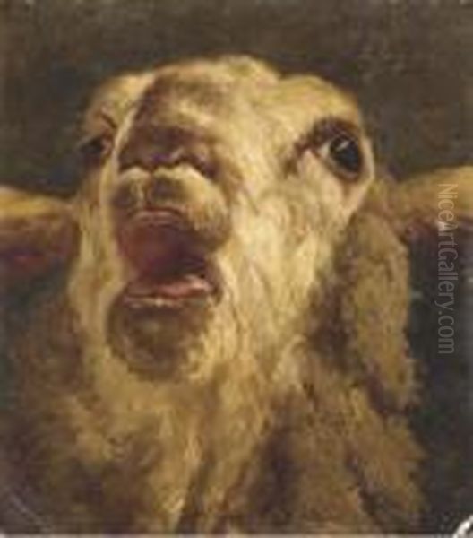 Mouton Belant - view 1