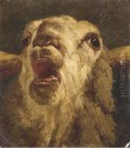 Mouton Belant by Charles Jacques