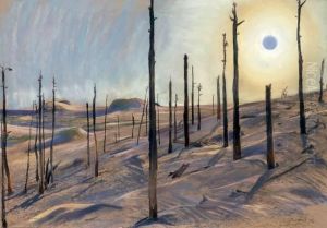 Der Tote Wald by Willy Jaeckel