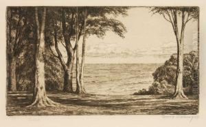Blick Auf's Meer by Georg Jahn