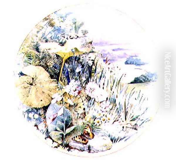 Wild Flowers and Vegetation, in a Lakeland District - view 1