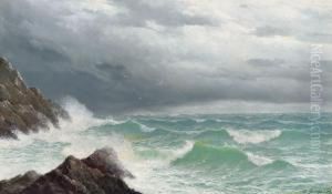 A Rocky Coastline by David James