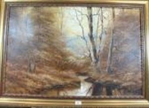 Autumn Stream Through Wood by David James
