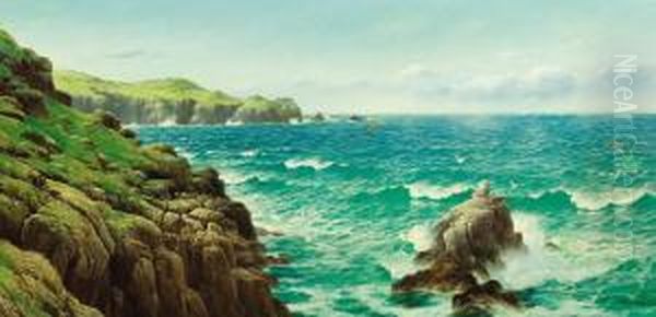 Sea Cliffs - view 1