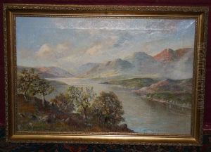 Highland Loch View
