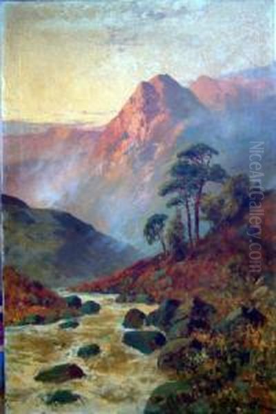Unframed Oil On Canvas 'brora Falls' Sutherland' Signed 24 X 16in - view 1