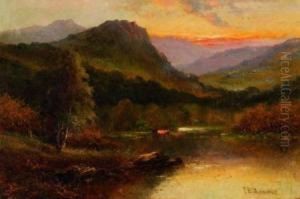 Cattle Watering In A Mountain Valley, Sunset