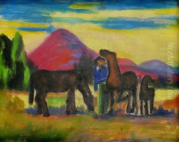 Muz S Konmi - view 1