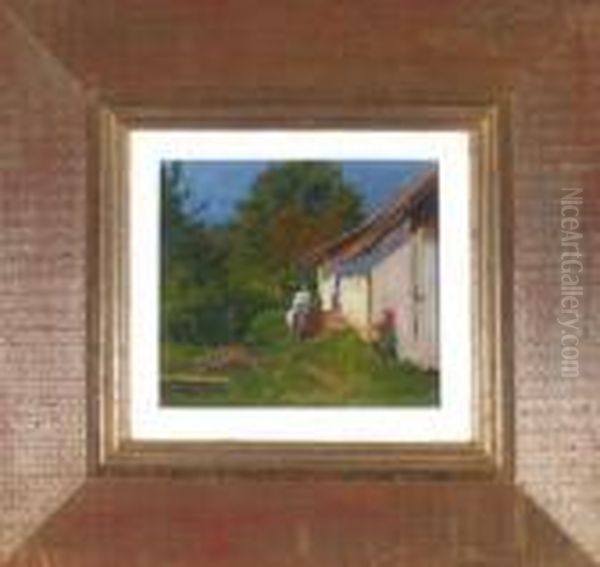 Sommerlicher Hinterhof Eines Bauernhauses - view 1