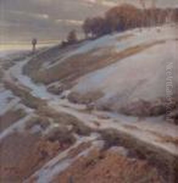 Vorfruhling -abendstimmung - view 1