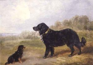 Dogs by Loey Campbell