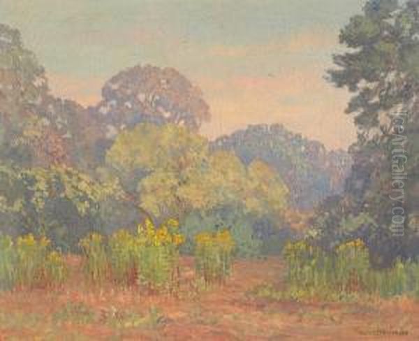 A Path Through The Goldenrod - view 1