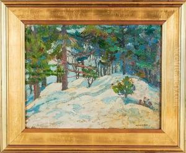 O/c Winter Treescape - view 1