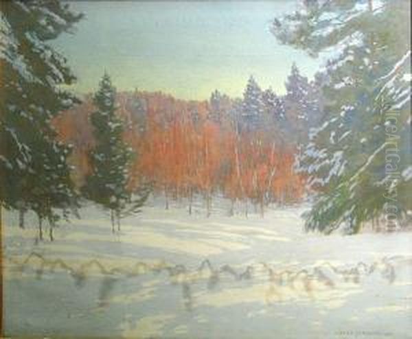 Winter Woodland - view 1
