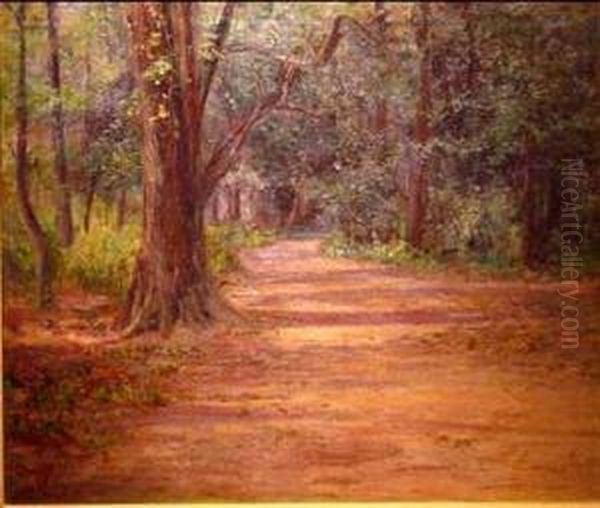 A Wooded Lane - view 1
