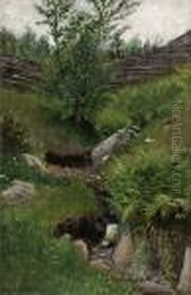 Varback - view 1