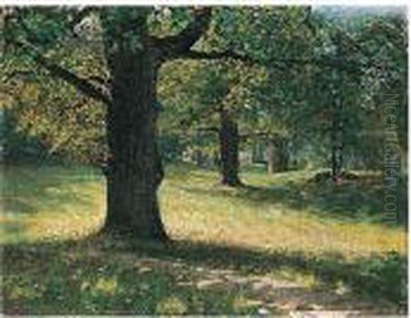 Sommardag Pa Djurgarden (summer Day In Djurgarden, Stockholm) - view 1