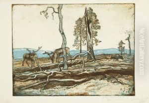 Poroja