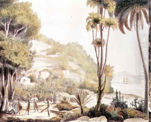 View of the coast of Brazil opposite the island of Santa Catarina, c.1825 - view 1