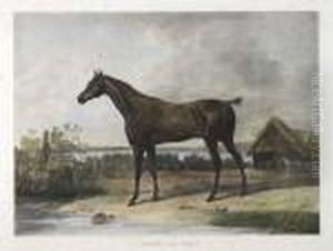 Conjunto De Quatro Gravuras, 
Agua-tintas, Representando Cavalos, Segundo Os Quadros De Carle Vernet E
 Horace Vernet. Perfeitas, De Grande Impacto Decorativo E Mestria De 
Execucao. Sem Data (1 Metade Do Seculo Xix). As Quatro Gravuras Tem As 
Seguin