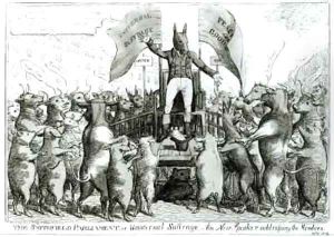 The Smithfield Parliament Universal Suffrage by George Cruikshank I