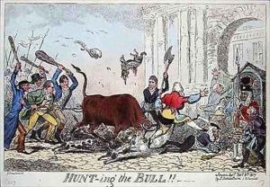 Hunting the Bull by George Cruikshank I