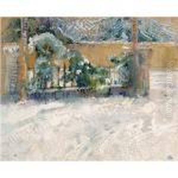 Winterlandscape - view 1