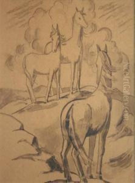 Aran Ponies - view 1