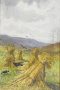 Crows Among The Barley Stooks