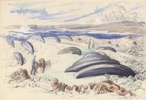 Achill Island by Mainie Harriet Jellett
