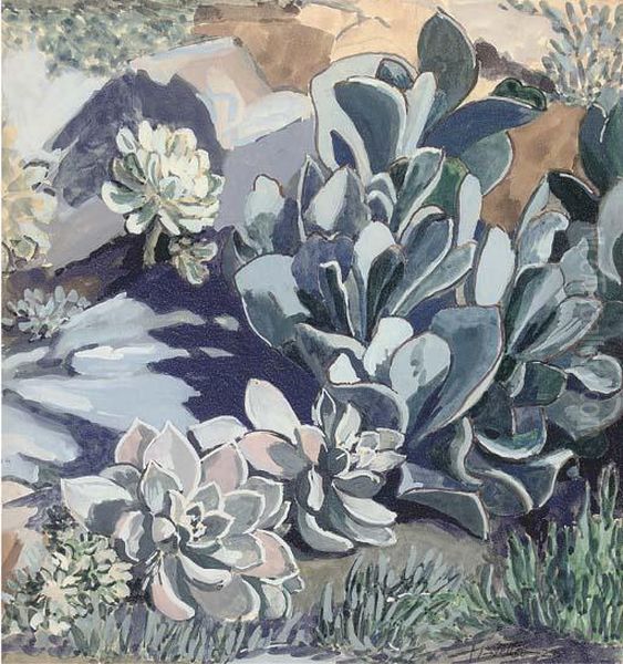 Plants And Rocks - view 1