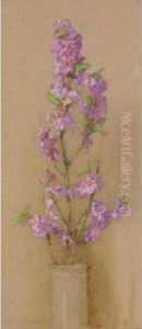 Study Of Daphne by James de Vine Aylward