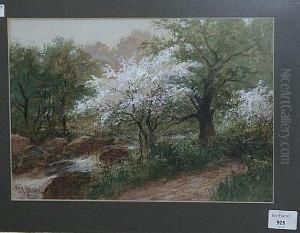Thorn Blossom Thorn Blossom