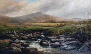 Lydd On Dartmoor