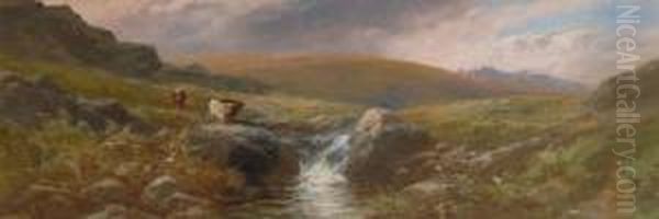 Cattle On The High Moor - - view 1