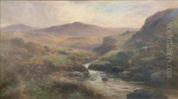 Autumn On The Lyd, Dartmoor - view 1