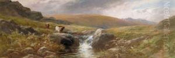 Cattle On The High Moor - view 1