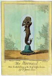 The Mermaid Now Exhibiting at the Turf Coffee House St Jamess Street
