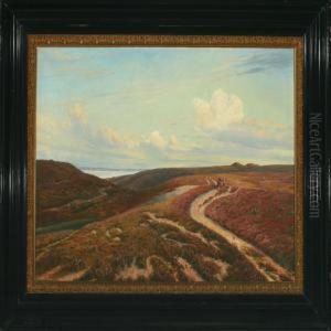 Danish Hillyheather Landscape