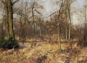 Silent Fall Day by August Jernberg