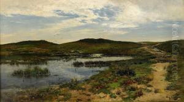 Varlandskap - view 1
