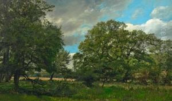 The Oak Forest In Jaegersborg's Garden - view 1