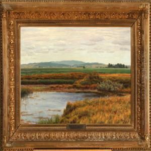 Landscape Nearagersted, Denmark
