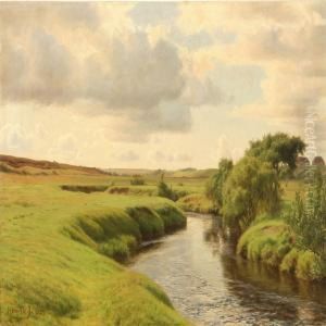 Danish Landscape From Karup Stream