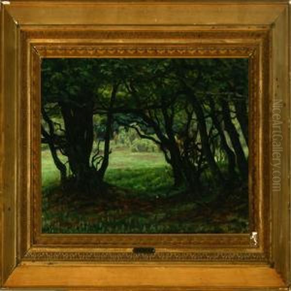 In The Silent Forest - view 1
