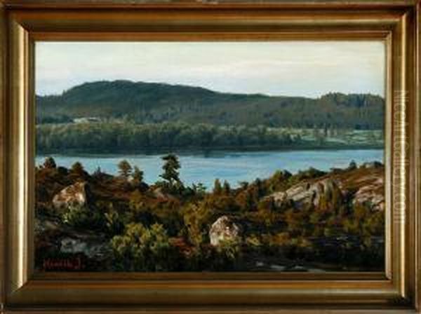 A Summer Landscape By Silkeborg Town, Denmark - view 1