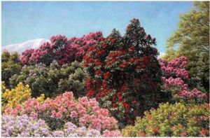 Garden Scenes by Henrik Gamst Jespersen
